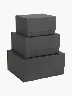 Bigso Box of Sweden Aufbewahrungsboxen Ilse, 3er-Set