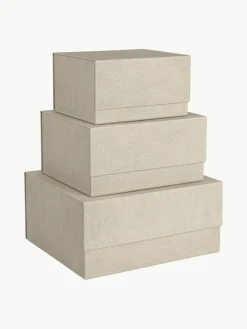 Bigso Box of Sweden Aufbewahrungsboxen Ilse, 3er-Set