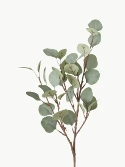 Westwing Dekozweig Eukalyptus