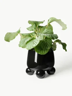 Westwing Collection Großer Übertopf Olea, H 32 cm