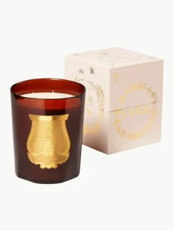 Trudon Handgefertigte Fünfdocht-Duftkerze Cire (Reines Bienenwachs, Ätherisches Sandelholzöl, Ätherisches Zimtöl)