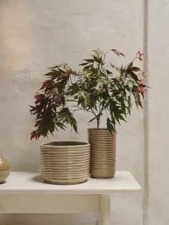 ferm LIVING Handgefertigter Übertopf Corduroy