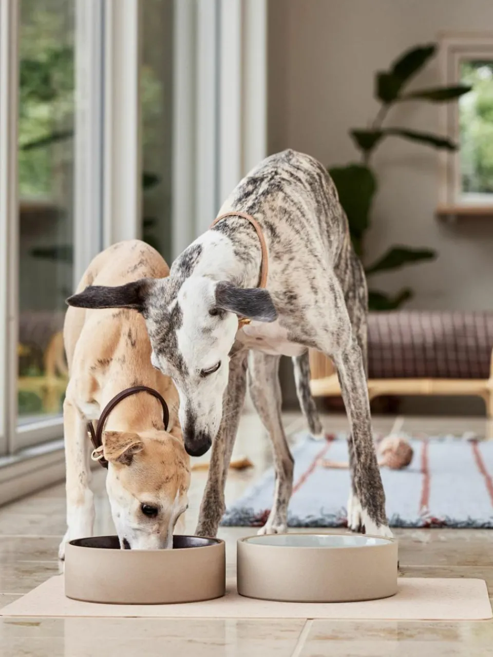 Oyoy Living Design Haustier-Napfunterlage Koko