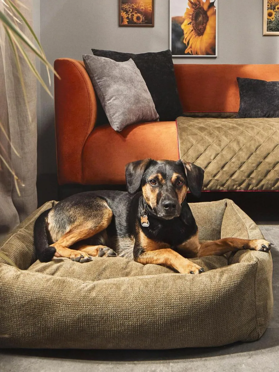 Laboni Hundebett Tudor, in verschiedenen Größen