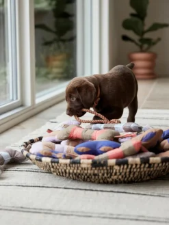 Oyoy Living Design Hundespielzeug Ashi in Knochen-Form, in verschiedenen Größen