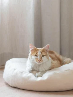 Hoopo Katzenbett Donut