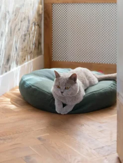 Hoopo Katzenbett Donut