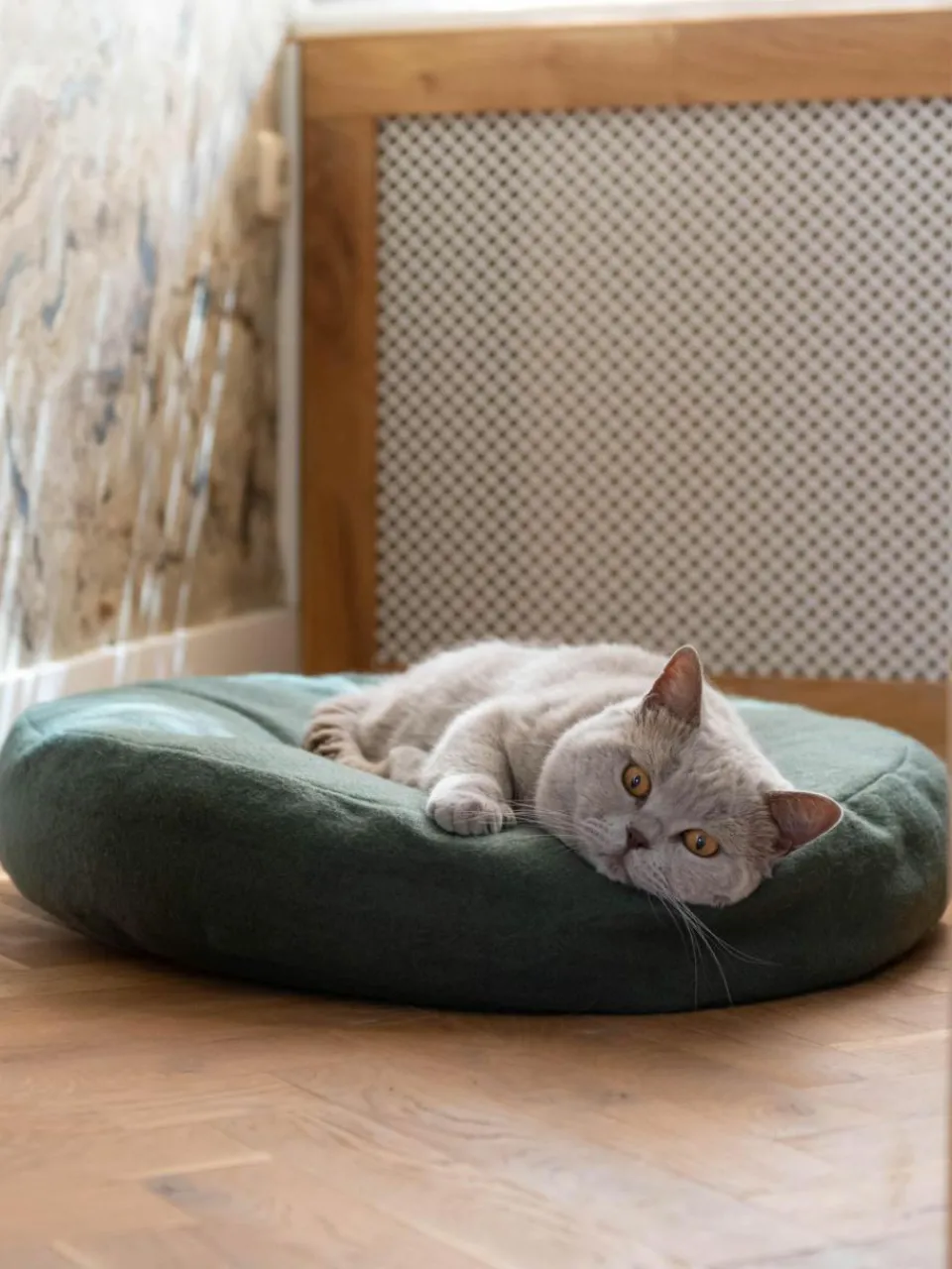 Hoopo Katzenbett Donut