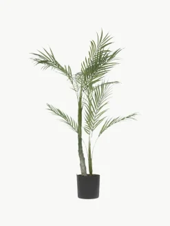 Westwing Kunstpflanze Palme im Übertopf