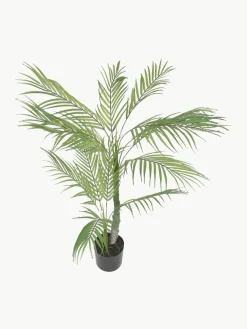 Westwing Kunstpflanze Palme im Übertopf