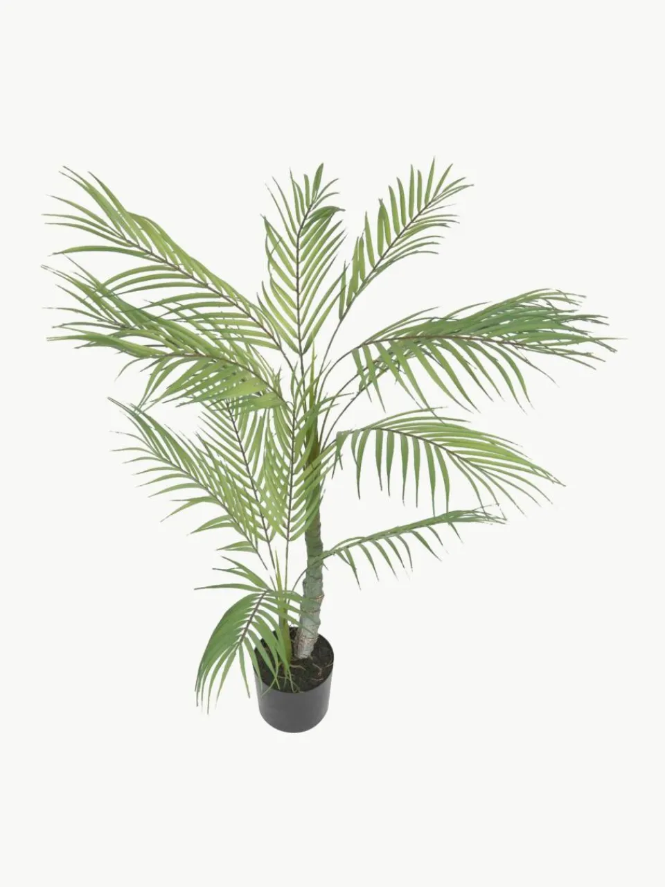 Westwing Kunstpflanze Palme im Übertopf