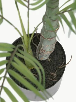 Westwing Kunstpflanze Palme im Übertopf