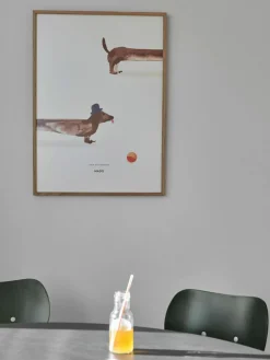 MADO Poster Doug the Dachshund