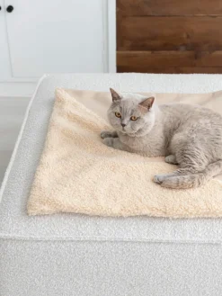 Hoopo Teddy-Katzendecke Tri