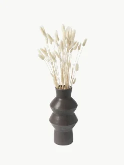 Cooee Design Trockenblumen Lagurus